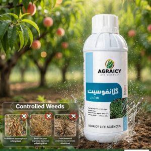 GLYPHOSATE